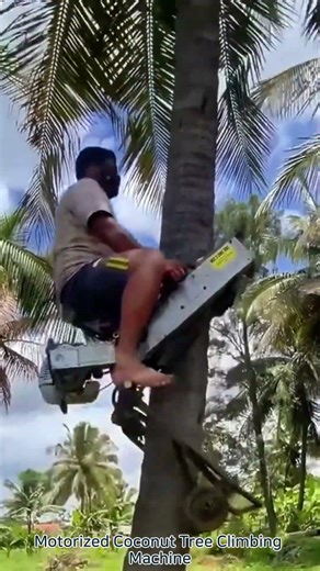 Motorized Coconut Tree Climbing Machine