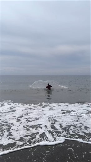 catching mullet with a cast net #fishing #fish #pesca