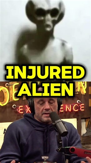 Joe Rogan: ALIEN CRAFT CRASHED In Brazil & Left DEADLY Infection 😳