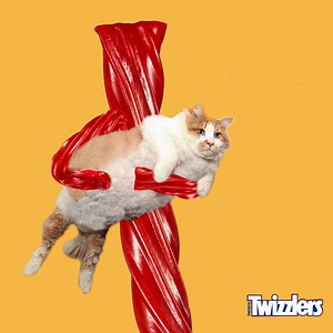 9.3M views · 2.1K reactions | Need to hug a cat right meow? Twizzlers has you covered. | TWIZZLERS | Facebook