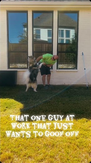Window cleaning with that one guy who wants to just goof off.