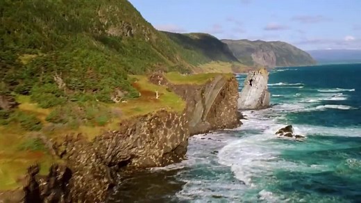 VIDEO: Whales off the coast of Newfoundland "sing" Canada's national anthem. http://cbc.sh/gccMiQY | CBC News