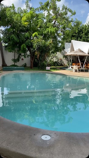 🛌🌇 Vive la esencia de Mérida desde el corazón de la ciudad Hospédate en nuestro hotel ubicado a solo 3 cuadras del Zócalo (Plaza Grande) y déjate envolver por su arquitectura colonial, la música en vivo, el arte local y ese ambiente festivo que solo Mérida sabe ofrecer. ✨ Cerca de museos, teatros y parques tradicionales. 🚗 Contamos con 2 amplios estacionamientos SIN COSTO. 🎟️ Acceso fácil a excursiones y actividades recreativas. Reserva con mínimo 72 horas de anticipación y asegura una exper