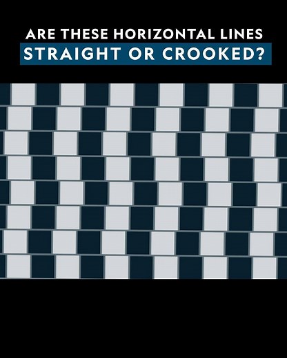 83K views · 374 reactions | Can you tell if these horizontal lines are straight or crooked, or is your mind playing tricks on you? Challenge your mind during new episodes of Brain Games, every Wednesday at 8pm. | National Geographic UK | Facebook