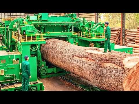 Inside the Largest Wood Sawmill Factory – Full Process How Plywood Is Made From Logs to Furniture