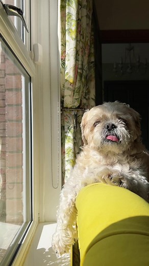 Top 10 Irish Interiors Ideas for Your Home