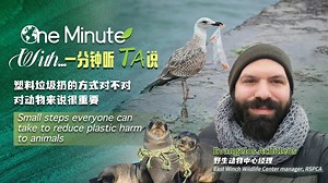 Small steps everyone can take to reduce plastic harm to animals - The Global Herald