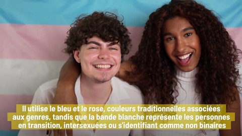 La signification derrière 5 drapeaux emblématiques de la fierté LGBTQ+