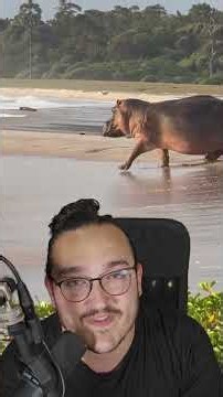That's not your sister, it's a hippo #3