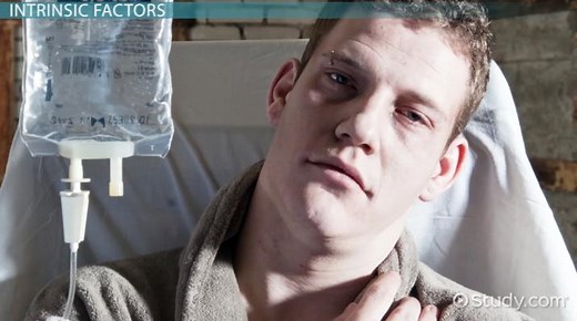 Factors Influencing the Human Body's Defenses