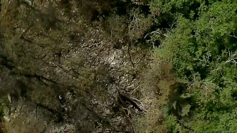 Virginia Jet Crash site