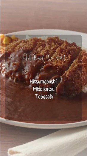 Nagoya Japan 2026 Travel Guide #shorts #tokyo #nagoya #japantravel #food #travel
