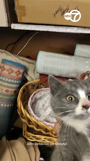 🐈‍⬛🥺 A kitten that wandered into an open garage during a party got trapped for nine days before finally being rescued “underweight and dehydrated,” according to a Long Island-based animal rescuer. John Debacker filmed a video while coming to the kitten’s rescue. He said the footage was taken in Franklin Square on December 21. “Back on December 12, the owners of this Franklin Square garage hosted a party where the garage was kept open for an extended period of time,” he wrote on Facebook. “Unbe