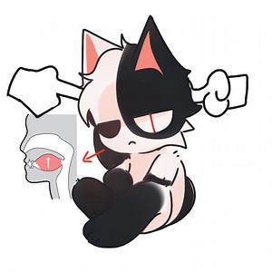 Stop Poking me I'm too busy. I'm mewing | Nuki Reysumi