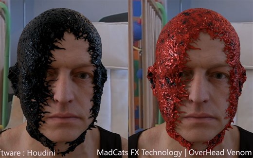 Houdini 17 OverHead_Venom FX