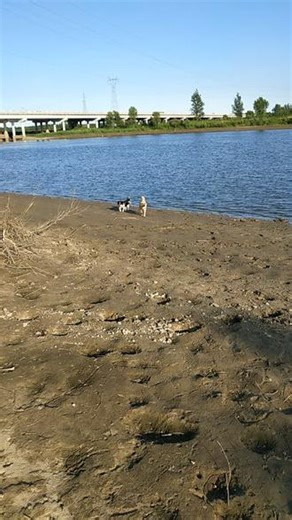 那时 方圆五里都没有其他人 赳赳阿宝狗生唯一一次的旅游 属于我们的小天地