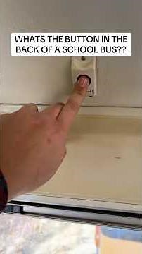 WHAT IS THE BUTTON IN THE BACK OF THE SCHOOL BUS?
