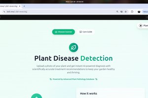 Plant Disease Detection Web App