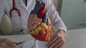 Doctor holds scalpel and concept of cardiac surgery. Treatment of heart diseases of the cortex and blood vessels with surgical operations