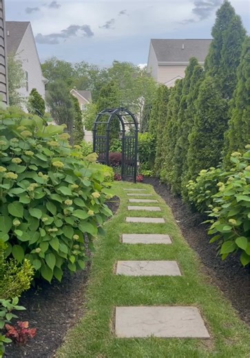 Summer Garden Tour: Vibrant Hydrangeas and Clematis