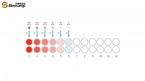 ELISA实验操作全程教学（含实验结果计算）