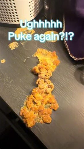 Do you have a cat that has hair ball after hair ball after hair ball and then they puke and they puke and they puke? These treats are the best way to deal with your cats hair balls! #cat #catsoftiktok #hairball #grass #catnip