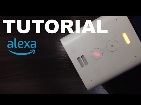 TUTORIAL 97: RESET ECHO FLEX AND COMPATIBLES