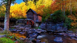 Dragonfly, Insect, Nature