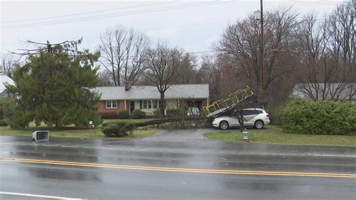 Strong winds down tree, blow trampoline onto car outside Damascus, Maryland house