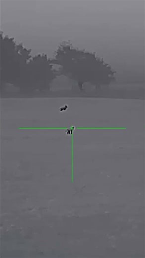 22-250 Nosler Balistic Tip Varmint @ 240 yards. iRay TL-35 #hunting #coyote #thermal