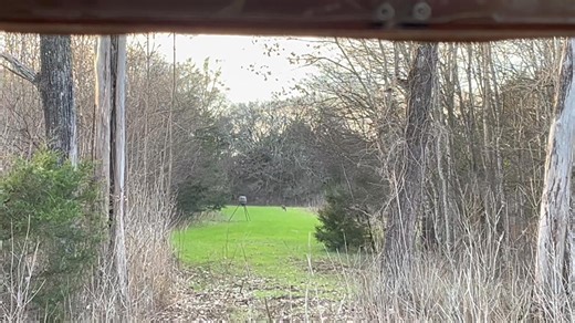 Happening now. | Preston Pittman