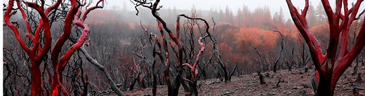 US Natural Hazards Index | NCDP