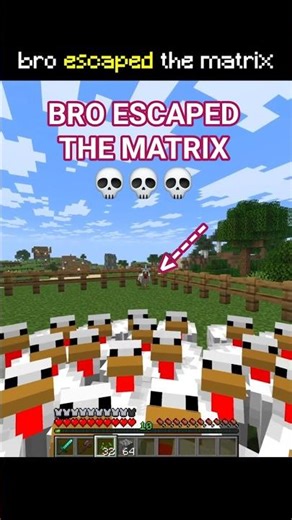 Bro Escaped the Minecraft Matrix 💀 #pogribak