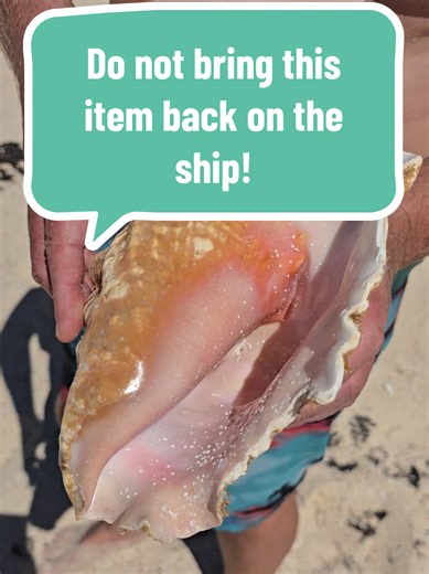 First time cruiser tip 🚢 You cannot bring conch shells back on the ship—even if you bought it in port. Security will confiscate it every time. Save your money and take the photo instead 📸 #firsttimecruiser #cruisetips #cruiselife #cruise #royalcaribbean