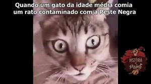 38K views · 2.1K reactions | Dica do fã da página Diogo Félix | História No Paint | Facebook