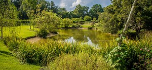 9 Best Things To Do In Little River, South Carolina