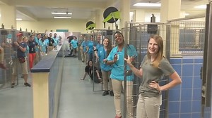 What an amazing day! Our adoption team sent 81 pets home with loving guardians during a very busy Clear the Shelters. We are so grateful for the community's response and how many people came with open hearts to give lifelong homes to pets in our care. | Richmond SPCA