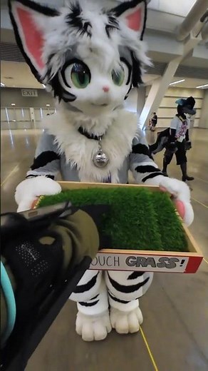 Cute Fursuits of the Day - Day 4 #furry #costume #fursuit #anthrocon #cosplay