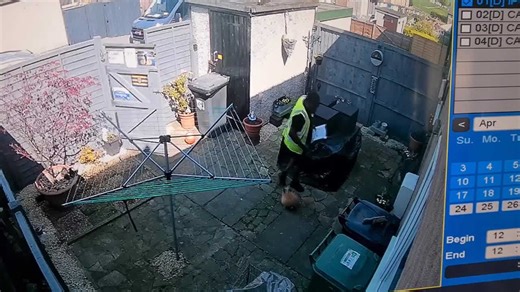 Guard Rabbit Chases Delivery Person