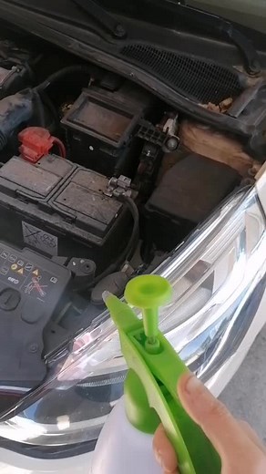 ricardoantunes876 on TikTok