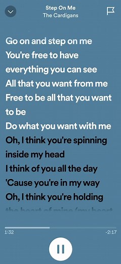 Step on Me - The Cardigans Lyrics & Sped Up Version