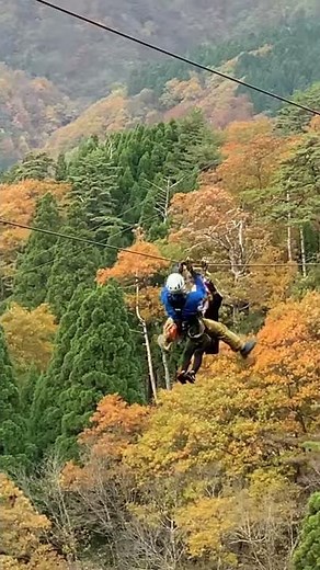 メガジップライン救出劇｜ツリーピクニックアドベンチャーいけだ｜福井県池田町