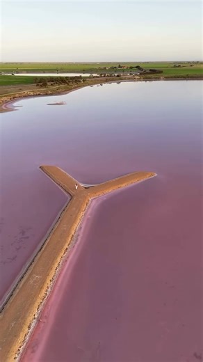 Blushing in every shade of rose, Yorketown’s Pink Lake is anything but shy.. 💗🙌 These strawberry shores are the result of millions of ‘halobacteria’ that like to party in salty environments — particularly as the weather cools and evaporation slows. From here on, Autumn’s gentler touch will combine with Winter rains (fingers crossed) to deepen the lake’s hues, making it a perfect time to see Mother Nature turn it on! Video: @anniebeth_travels (via IG) | Yorke Peninsula