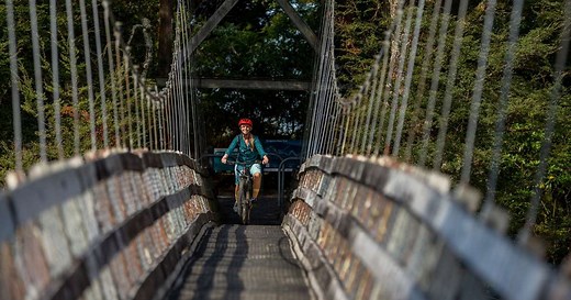 Tongariro River Trail in Turangi