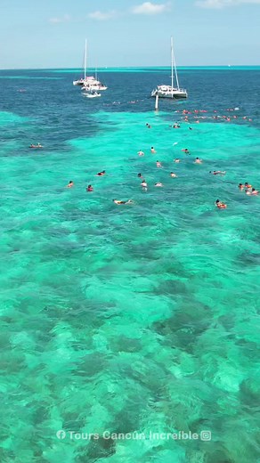 TikTok - Make Your Day