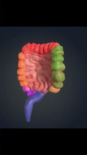 Kefir The Fermented Drink With 30+ Probiotics for Strong Gut Health