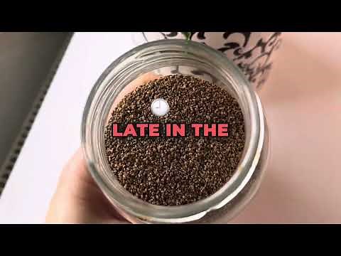 How I Use Celery Seeds: Benefits, Uses & Side Effects