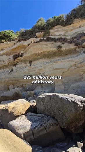 Step back millions of years at Fossil Bluff, Wynyard 🐚 Where ancient seas once met Tasmania’s coast, this remarkable site reveals a window into prehistoric marine life — all with sweeping coastal views to match. Fossil Bluff Facts • One of Australia’s most significant fossil sites • Fossils date back millions of years to when Tasmania was underwater • Discoveries include ancient shells, shark teeth and whale remains • The bluff’s rock layers tell the story of Tasmania’s changing coastline Amazi