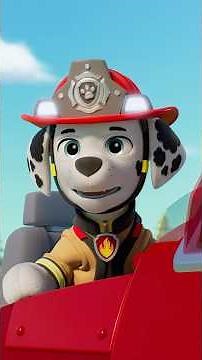Marshall stops a forest fire! 🔥 #shorts
