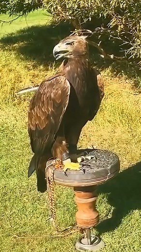 104 reactions · 11 shares | It’s almost that time of year again … our...